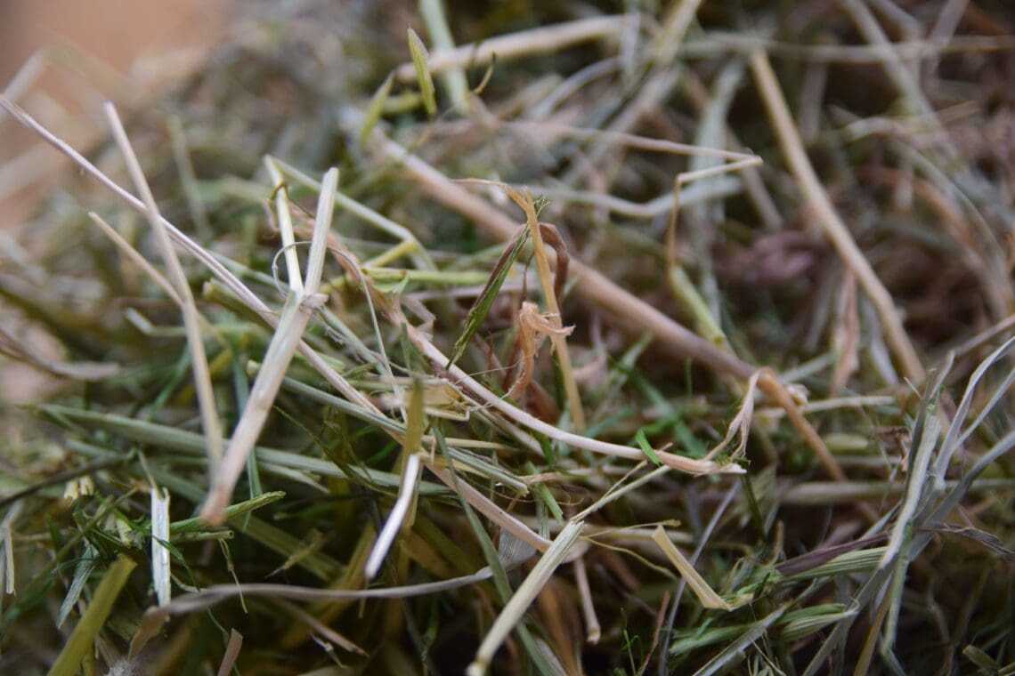 ultimate hay and forage box