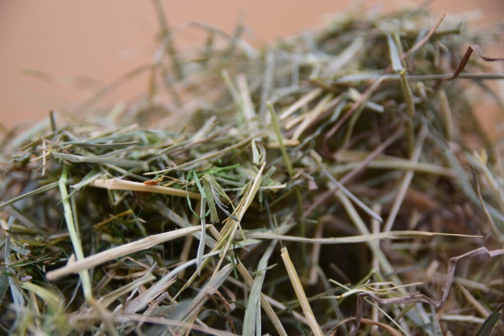 ultimate hay and forage box