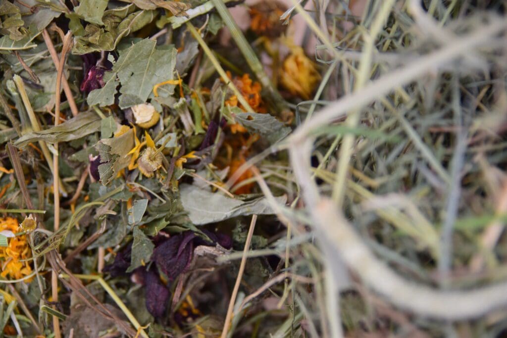 ultimate hay and forage box