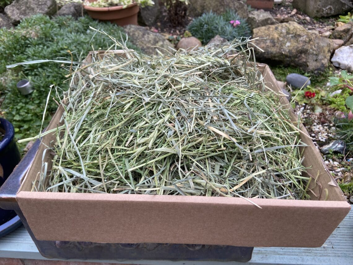 ultimate grass box