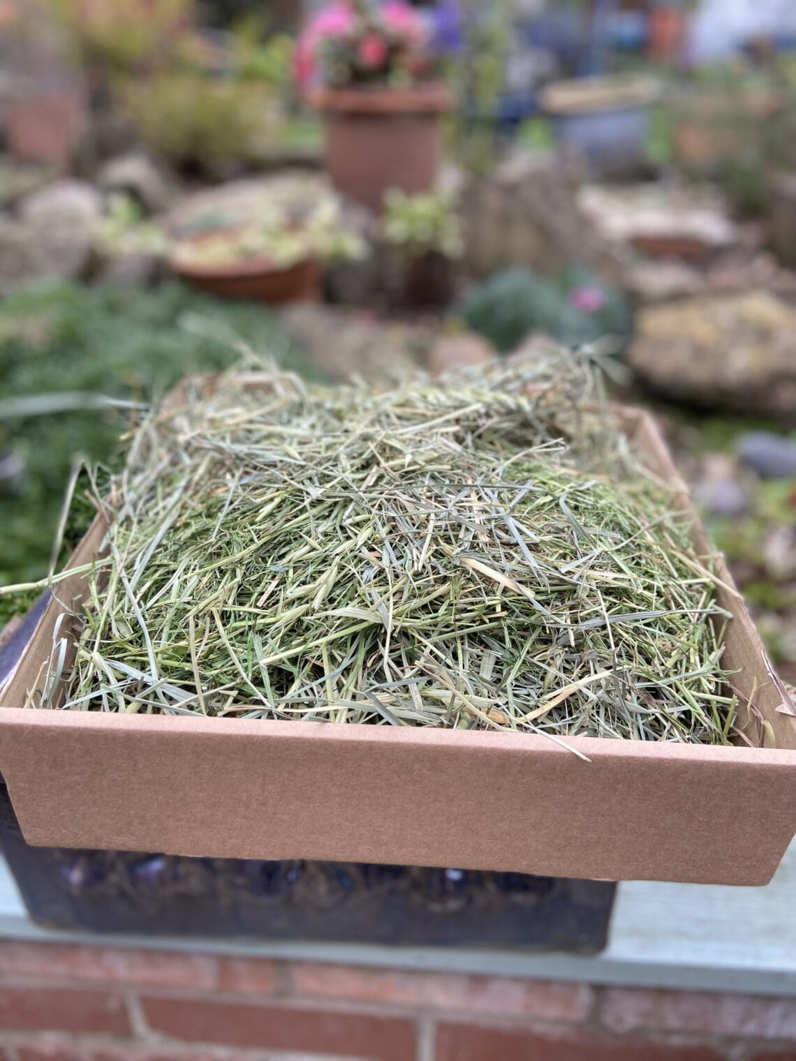 ultimate grass box