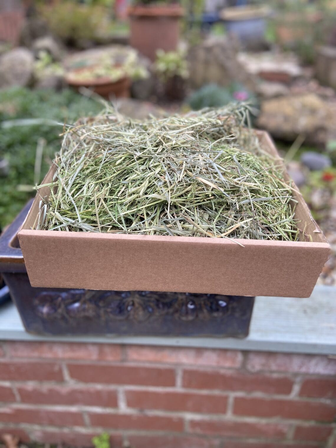 ultimate grass box