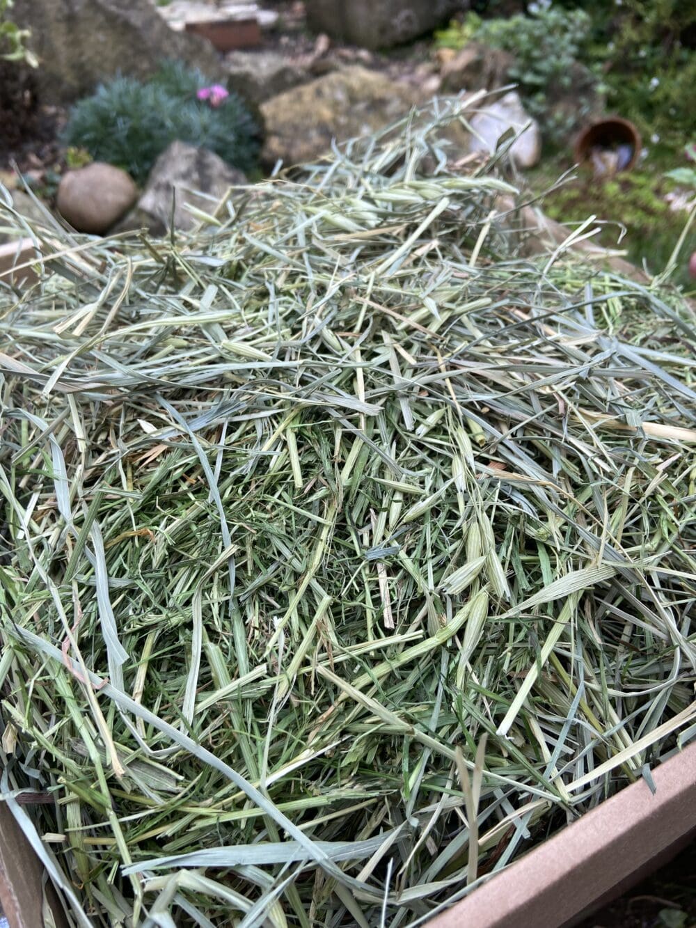 ultimate grass box