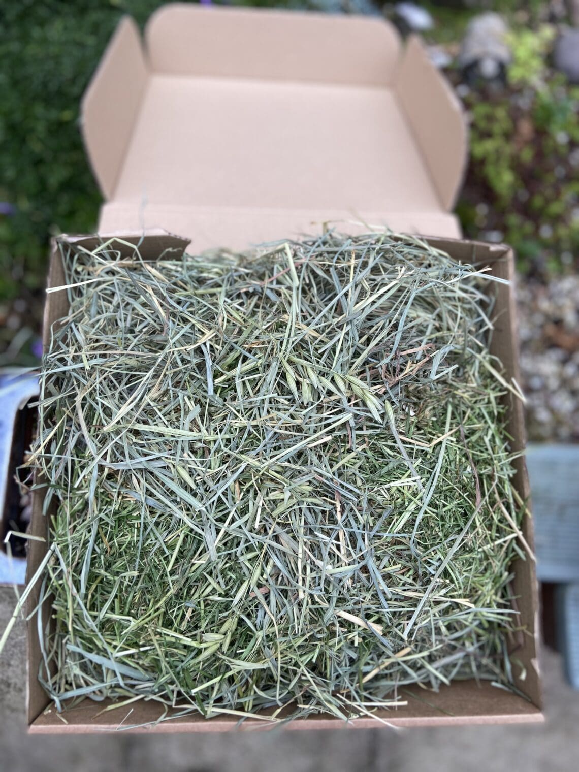 ultimate grass box