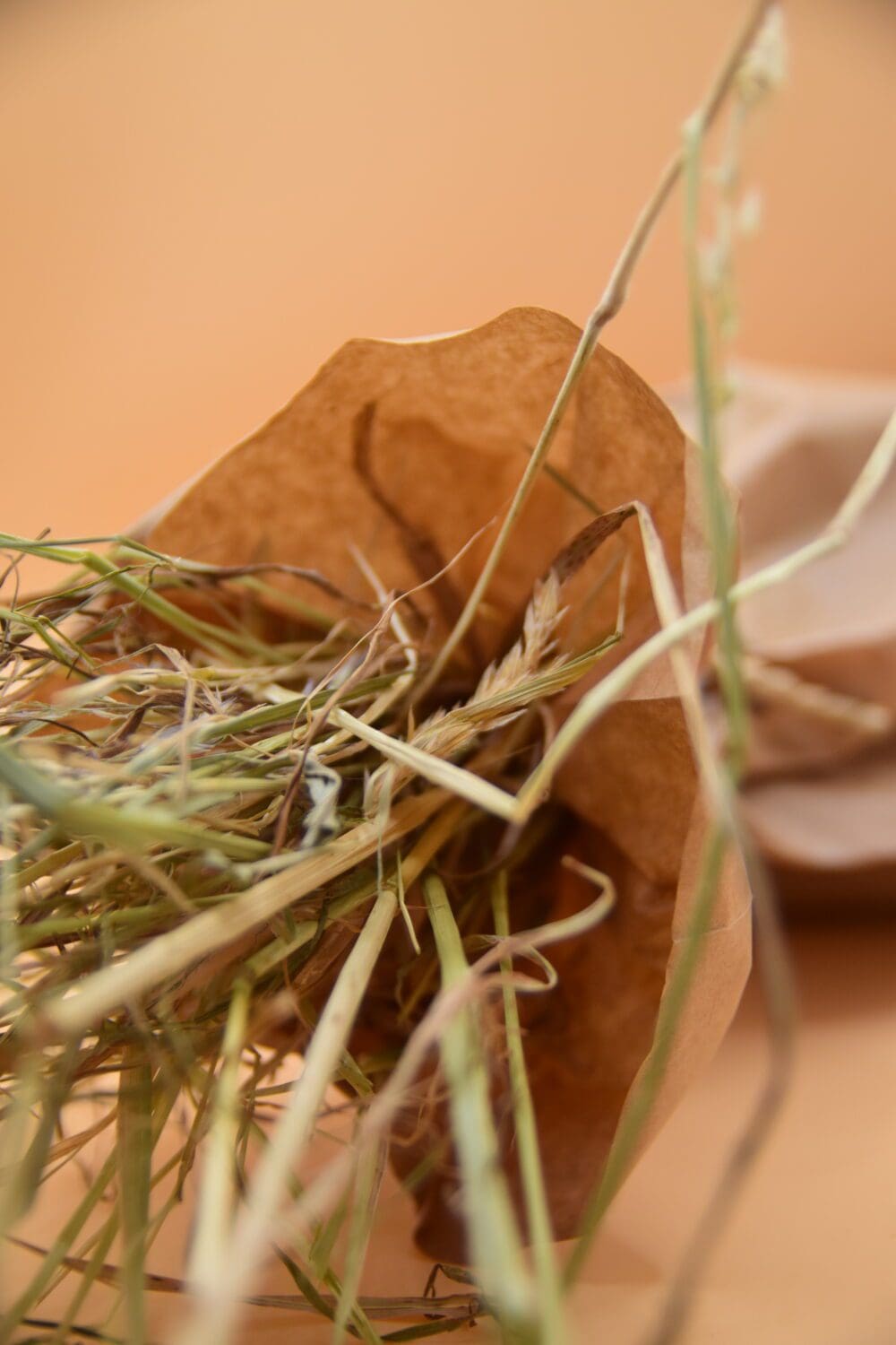 forage & chew bouquet